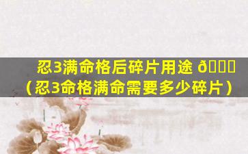 忍3满命格后碎片用途 🐈 （忍3命格满命需要多少碎片）